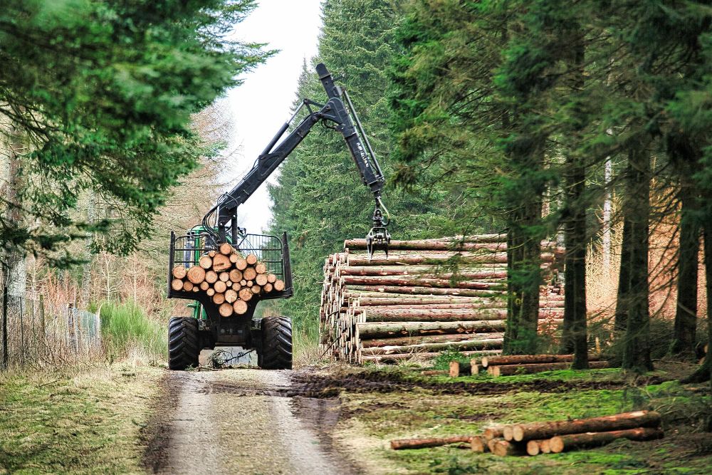 Forsttechnik muss robust und widerstandsfähig sein.