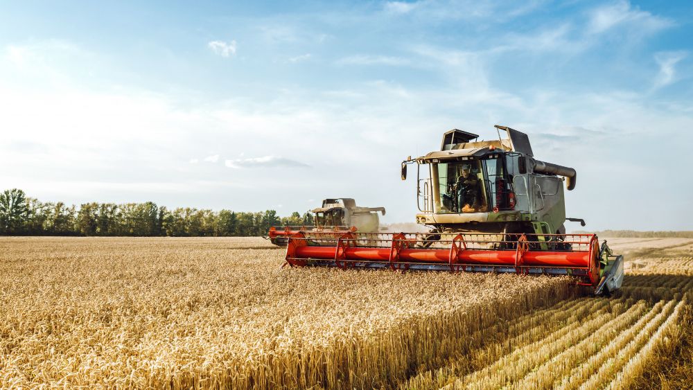 Die konventionelle Landwirtschaft ist weit verbreitet.