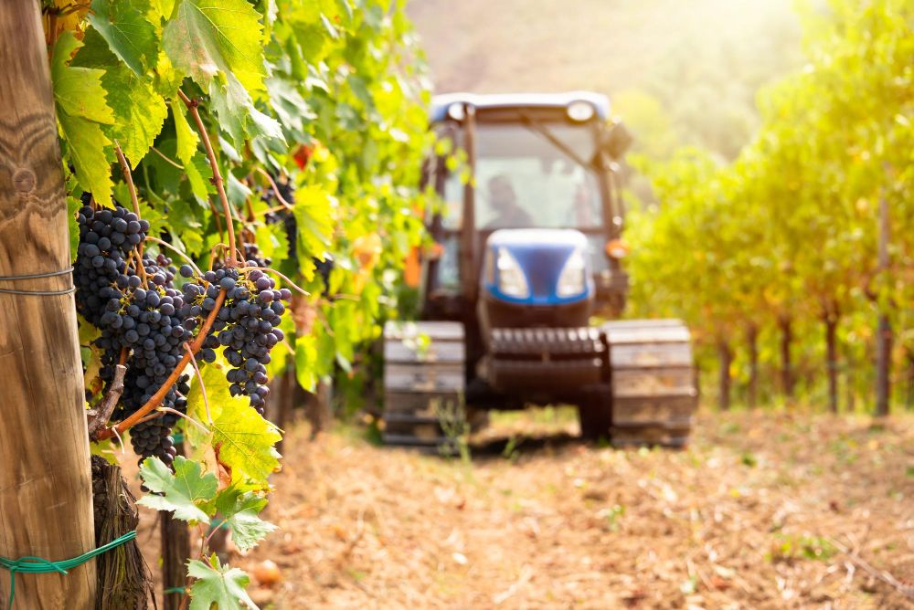 Weinberge stellen besondere Anforderungen an Landtechnik.